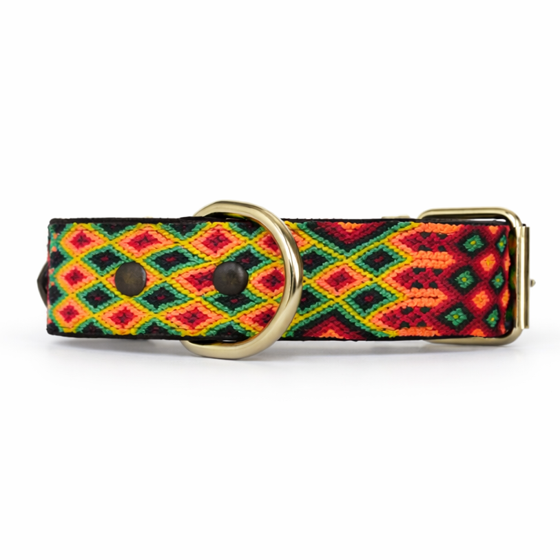 Colorful patterned dog collar with a gold buckle on a white background