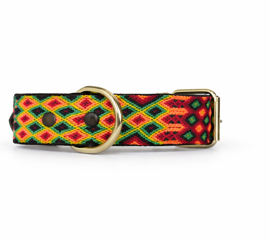 Colorful patterned dog collar with a gold buckle on a white background