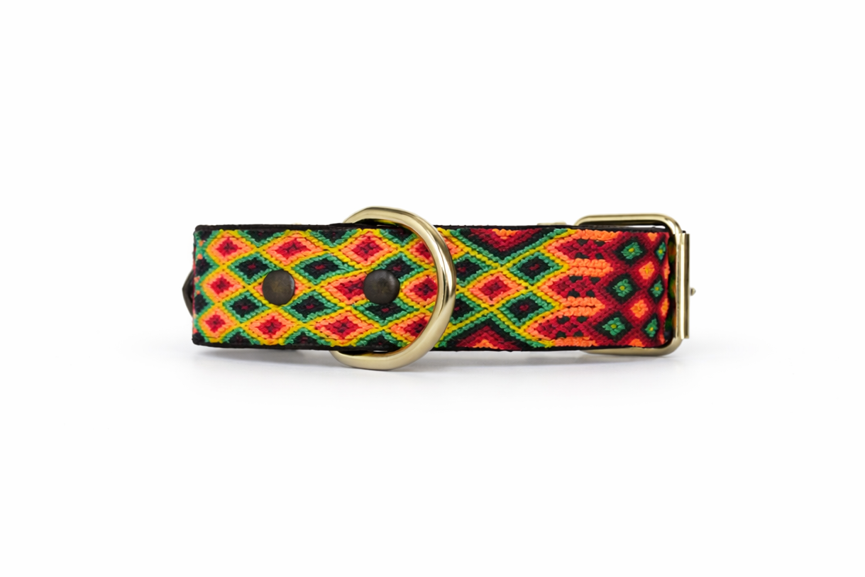 Colorful patterned dog collar with a gold buckle on a white background