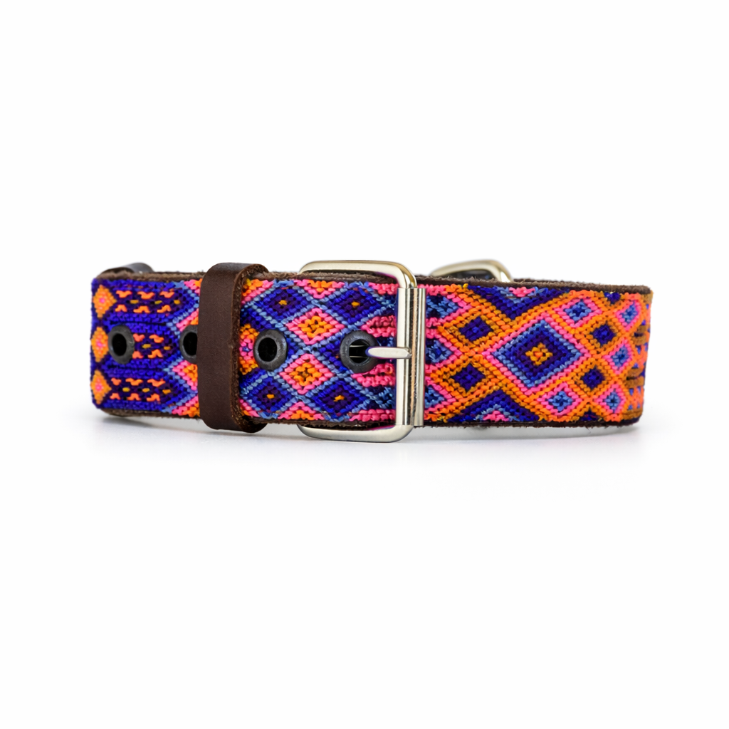 Dog collar with colorful pattern on a white background