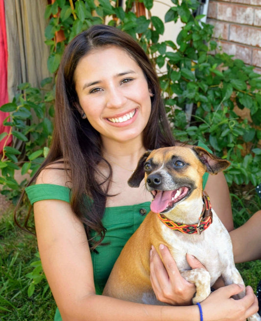 From Home to Heart: The Story Behind Paws