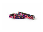 A woven dog collar with a colorful geometric pattern in pink, blue, and orange, featuring silver-tone metal hardware, shown on a plain white background.