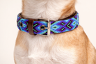 Dog collar with a colorful pattern on a dog's neck