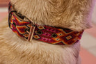 A close-up of a dog wearing a colorful woven collar with geometric patterns in red, orange, yellow, and brown, featuring a bronze metal buckle.