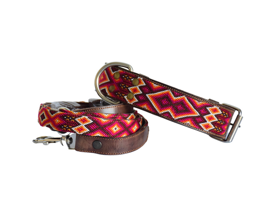 Leather Dog Collar I Mexican Everyday Pet Collar I Hojas de Otoño Collection