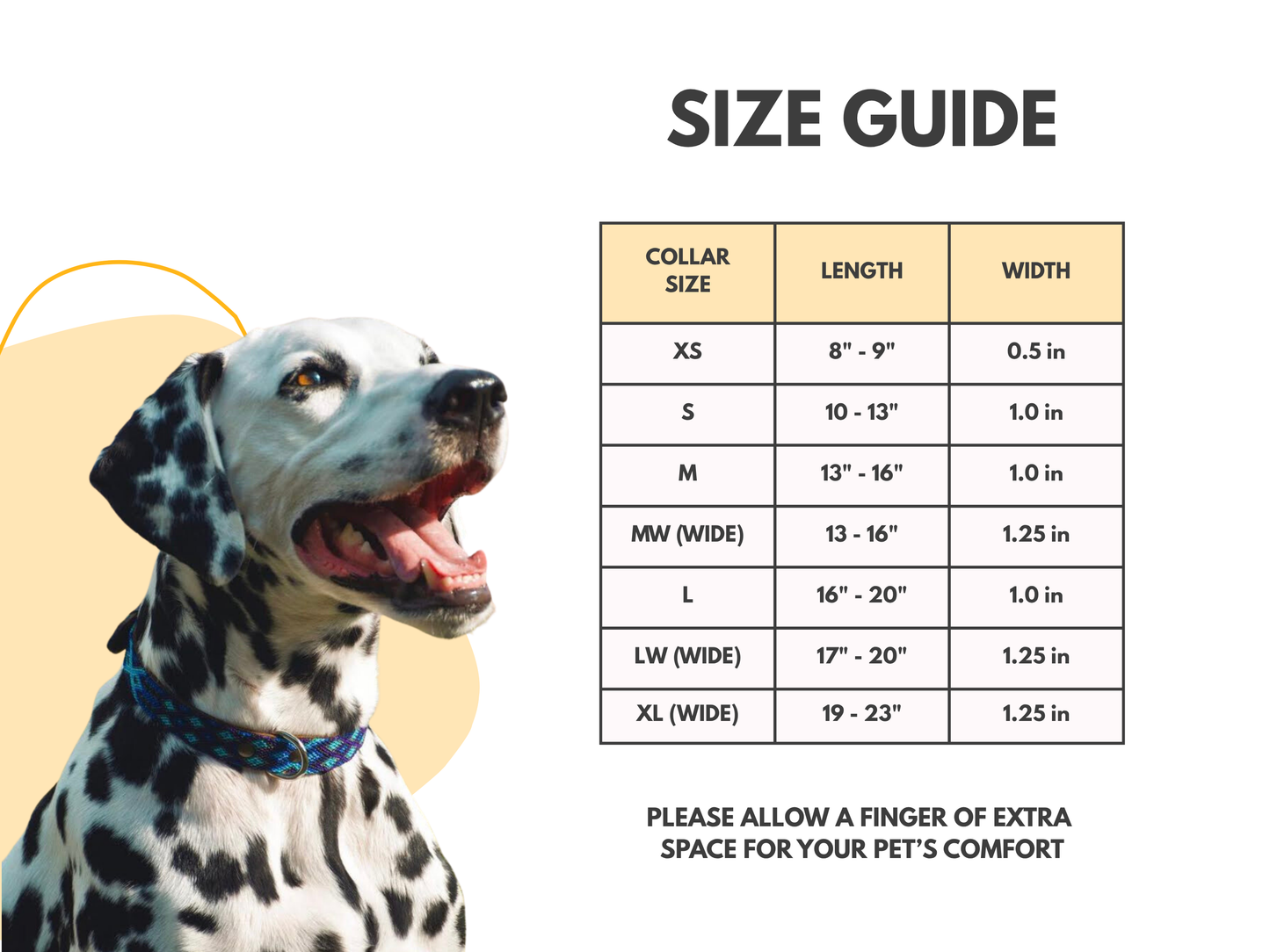 Leather Dog Collar I Mexican Everyday Pet Collar I Cempasuchil Collection