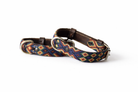 A woven dog collar with a dark brown leather strap and silver-tone metal hardware, featuring a colorful geometric diamond pattern in blue, red, yellow, and white.