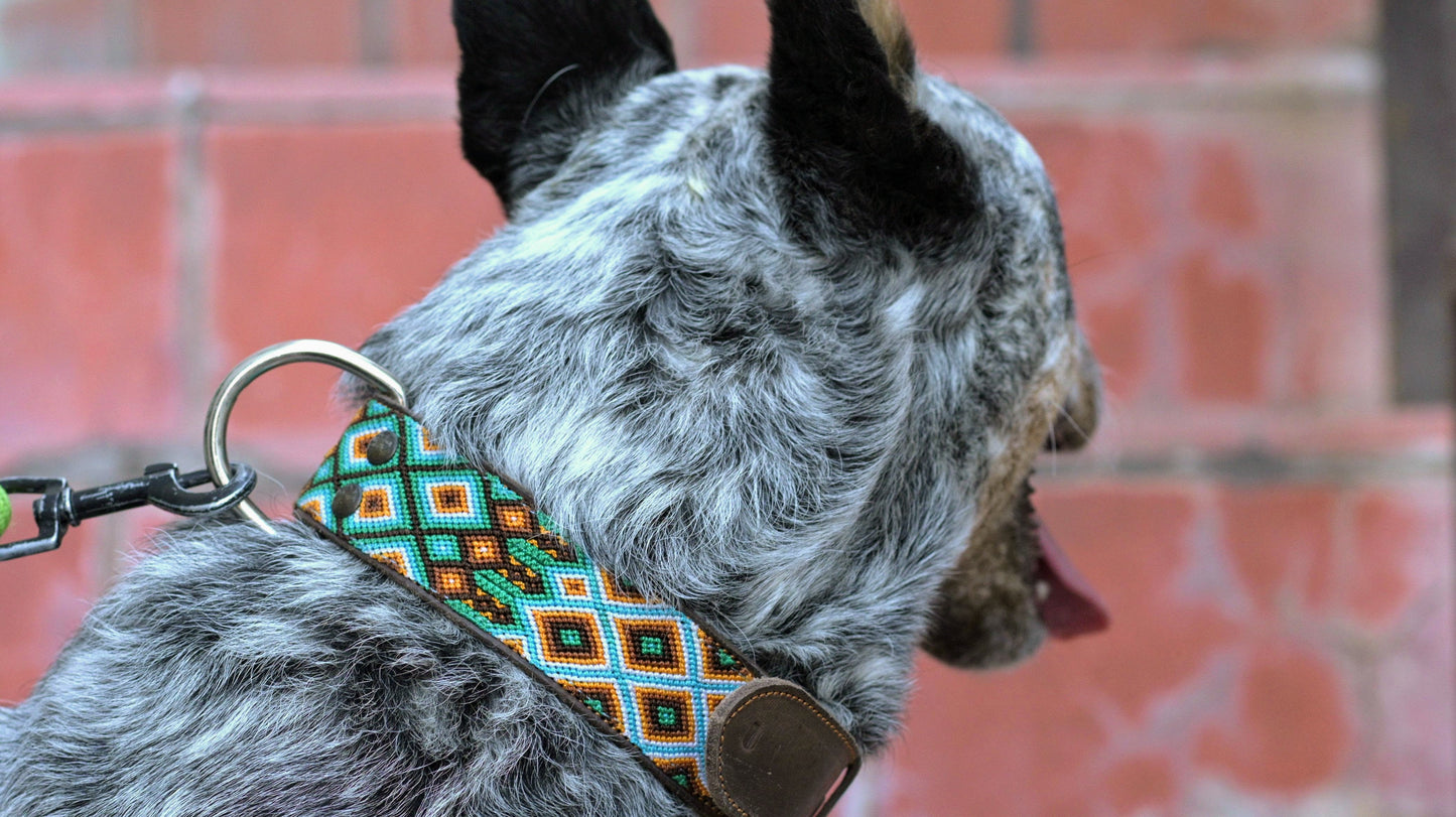 Leather Dog Collar I Mexican Everyday Pet Collar I Vida Collection