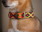A close-up of a dog wearing a colorful woven collar with geometric patterns in red, yellow, green, and blue, plus a brown leather strap and brass buckle.